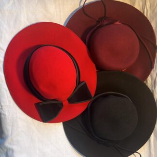 Chapeaux à large bord